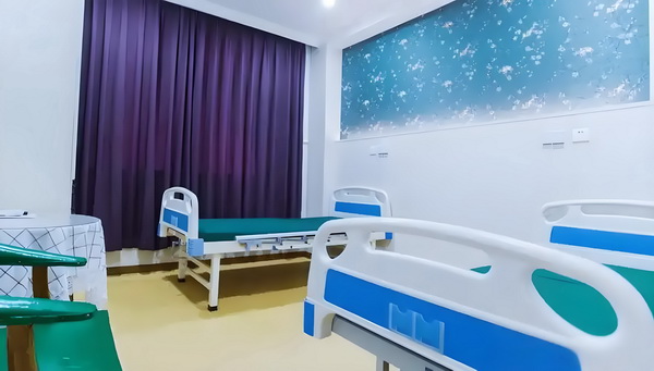 硕人之柳赋