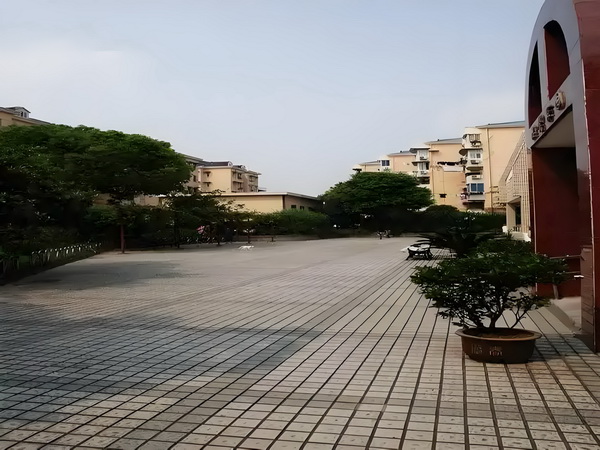 重生粟小米